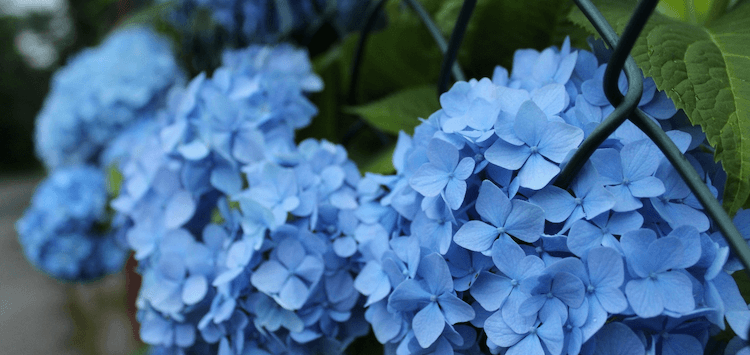 dating advice for men