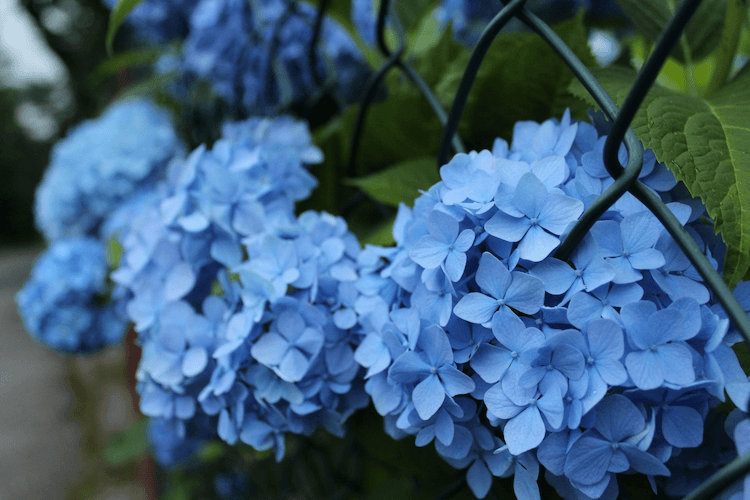 dating advice for men