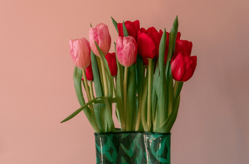 dating and relationships