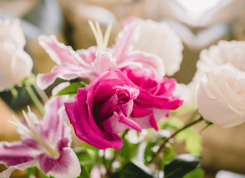 international relationship