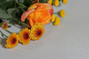 international relationship