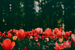 long-term relationship