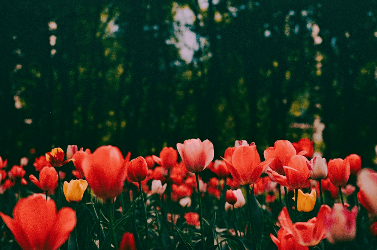 long-term relationship